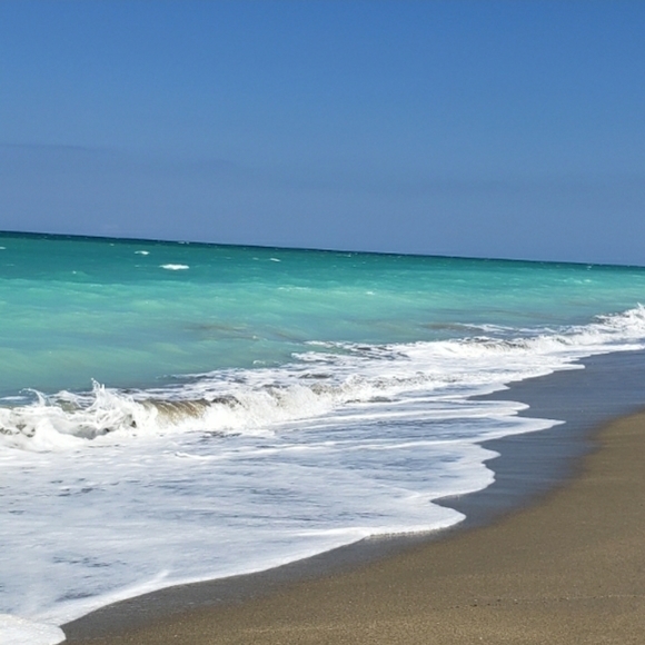 Meet your Posher, Judy - Picture 7 of 10